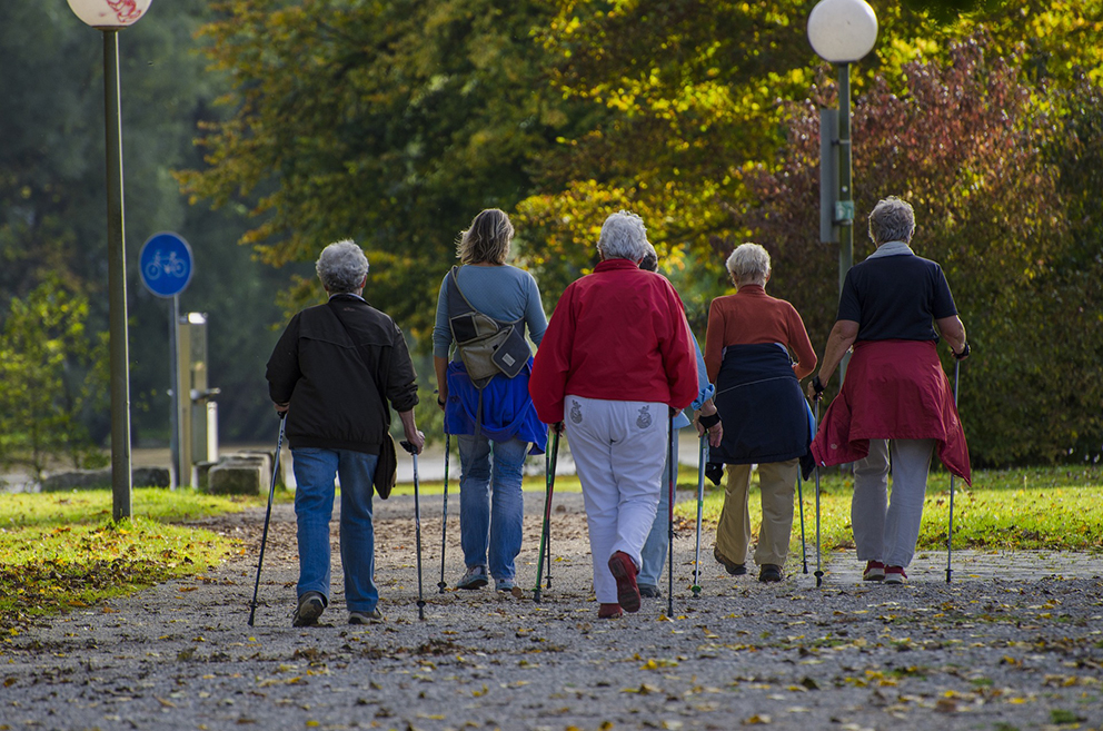 Fem äldre kvinnor går stavgång på en grusgång som går genom en park.