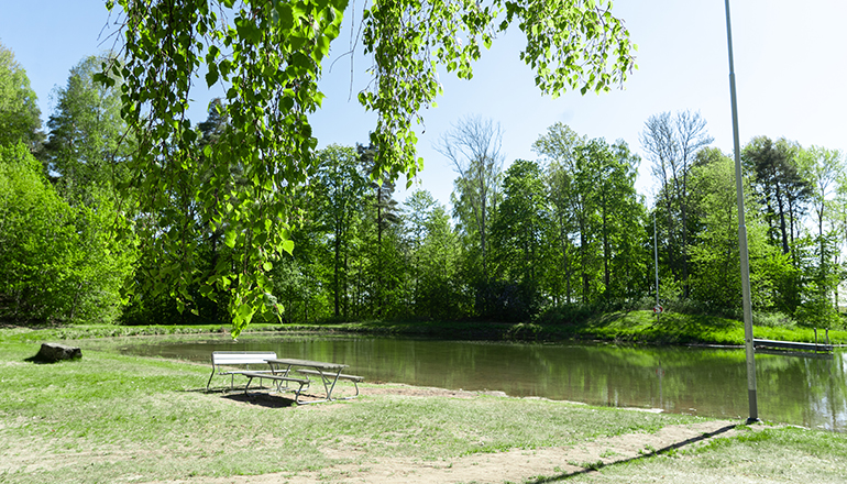 Badsjö med träd i bakgrunden.