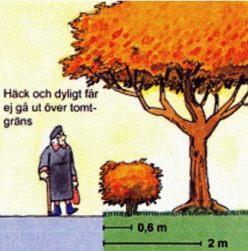 Illustration som visar hur nära din tomtgräns du kan plantera häckar och träd. 