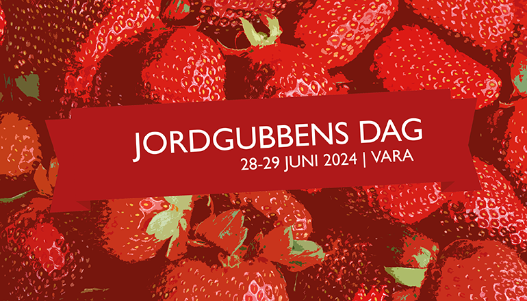 Bakgrund med illustrerade jordgubbar samt texten jordgubbens dag 28-29 juni 2024.