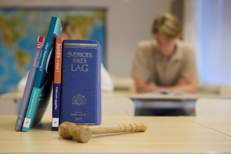 Elev som läser en bok.