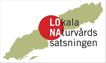 Logotyp LONA